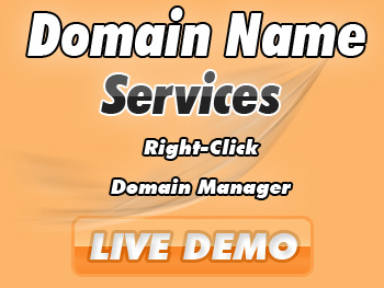 Bargain domain name registration service providers